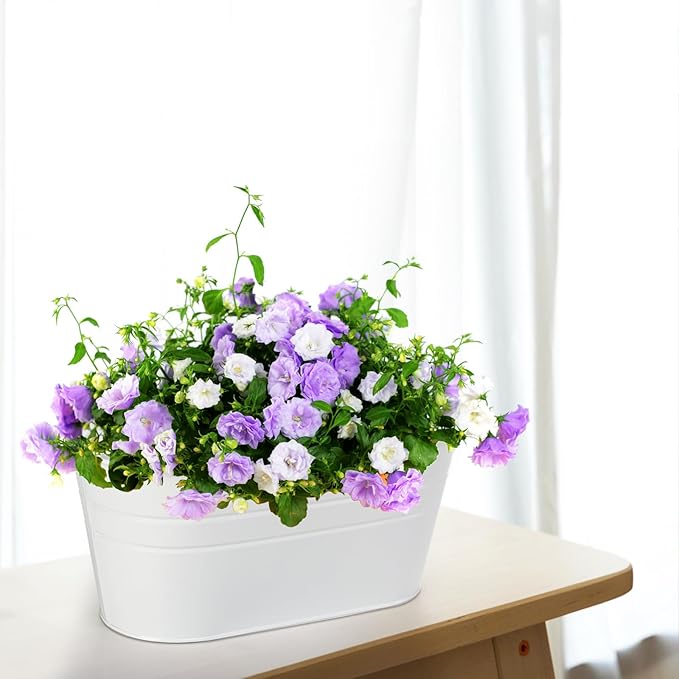 Foraineam 4 Pack Hanging Flower Pots, Metal Iron Plant Pot Holders, Large Fence Railing Balcony Garden Hanging Bucket Planters with Detachable Hooks for Indoor and Outdoor Decor Foraineam