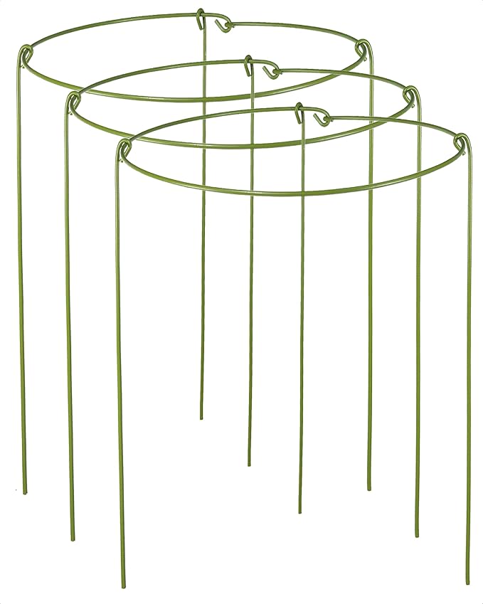 3 Pack Plant Support Stakes, Adjustable Plant Ring Cages with Green Rubber Wrapping, Ideal for Orchids, Indoor and Outdoor Potted Plants, 10" Wide x 17" High Rootora
