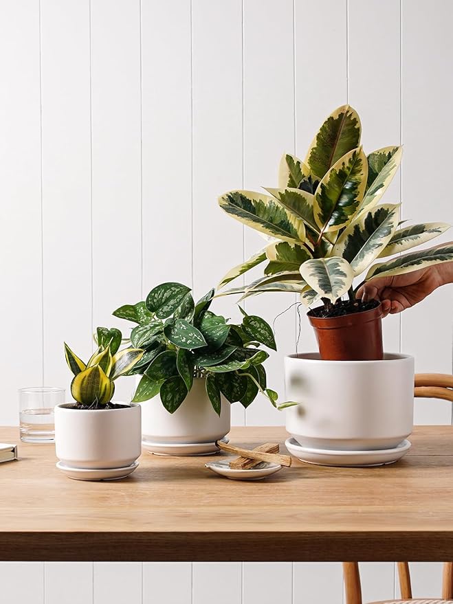 LE TAUCI Ceramic Plant Pots, 4.3+5.3+6.8 inch, Set of 3, Planters with Drainage Hole and Saucer, Indoor Flower Pot with Hole Mesh Pad, Gifts for Mom, White LETAUCI