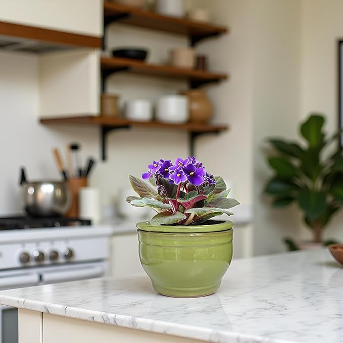 African Violet Pots Self Watering Round Ceramic Violet Pot (Green, 6 inch) Dphagesy