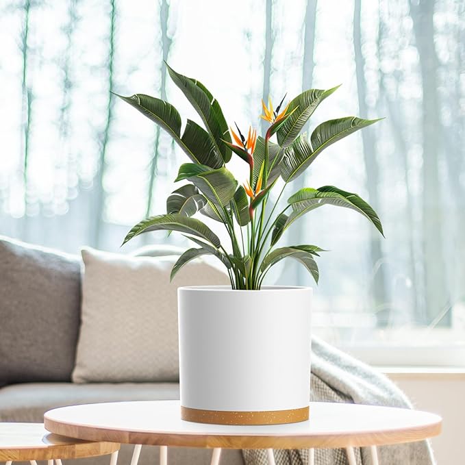 8 Inch Cylinder Flower Pots for Indoor Outdoor Plants, Medium Deep Plant Pots with Drainage Holes & Saucer, Decorative Plastic Planter Pots for Garden House Plants, White with Brown WSMKSZ