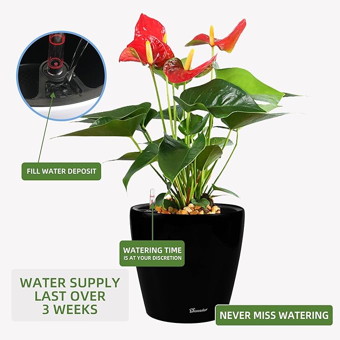 Dexceder 13x12 Self Watering Planter with Wheels Indoor Outdoor, Inner Pot Design, Thickened Large Floor Standing Flower Plant Pot with Water Level Indicator (Black Matte) Dexceder