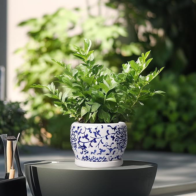 SQOWL 6 Inch Planter - Ceramic Plant Pots Indoor with Drainage Hole and Saucer, Round Ceramic Flower Pot Outdoor, Porcelain Decorative Planter, Backyard Decor, Gifts for Plant Lovers, Blue and White SQOWL