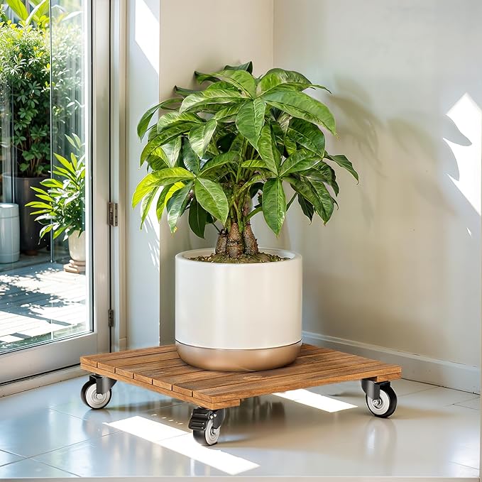 Idzo 2-Pack 12 Inch Acacia Wood Rolling Square Plant Caddy for Plant Pots, Heavy Duty Plant Stand with 360° Lockable Wheels, 264 lbs Capacity Caddy for Indoor and Outdoor Use, Natural Wood Idzo