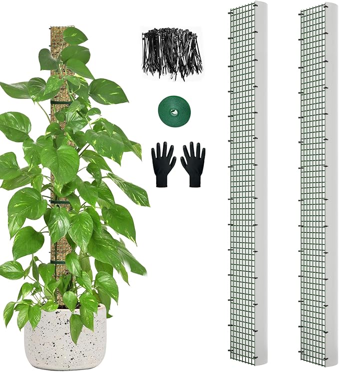 60" Metal Moss Pole, D Shape Sphagnum Moss Pole, Moss Poles for Climbing Plants, Monstera, Indoor Climbing Plants (2Pcs 60") HOLANHING