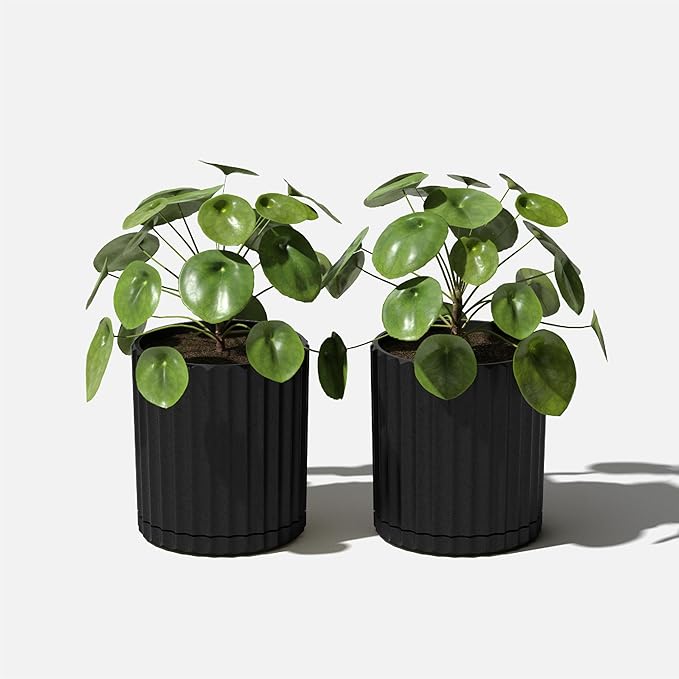 Veradek Demi Series Demi 6" Planter w/Tray - Black, 2 Pack VeradekOutdoor