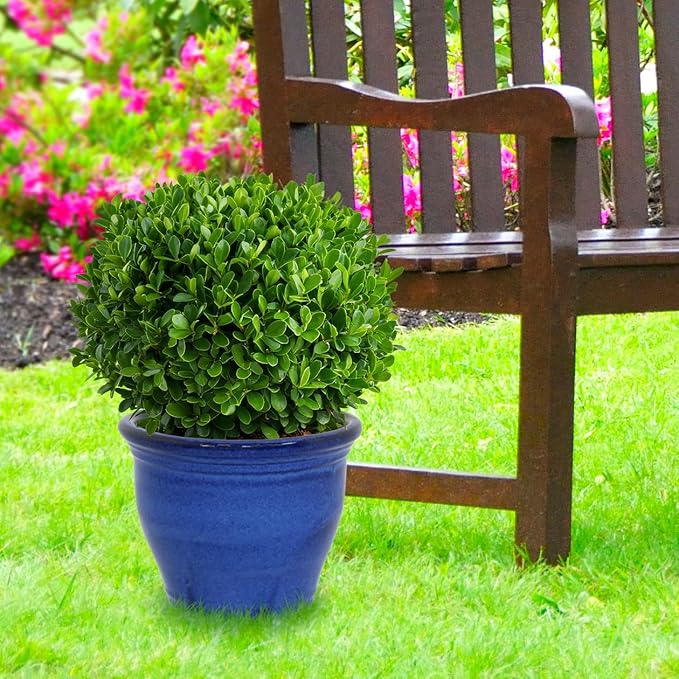 Sunnydaze Large Ceramic Plant Pot - Round Outdoor Glazed Ceramic Planter Pot with Drainage - Studio - Imperial Blue - 14.5" SunnydazeDecor