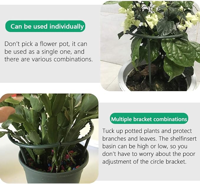 Mwellewm 10 Pack Plant Support Plant Stakes Metal Half Round Search Support Ring Small Plastic Cage Holder Short Stem Flower Pot Climbing Trellis for House Flower Vegetable Indoor Leafy(5.7 x 5.9nch) Mwellewm