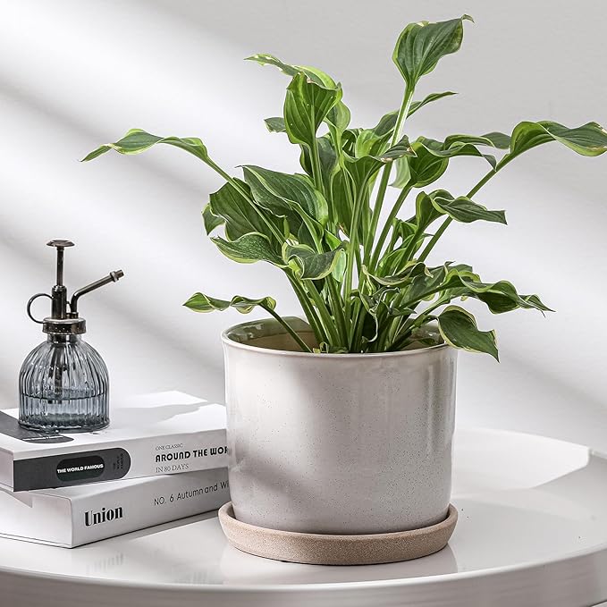 8 Inch Plant Pot: Ceramic Planter with Drainage Hole & Saucer for Indoor Outdoor Plants - Flowerpot with Bonded Tray for Home Office - Retro Style, Grey Chubacoo