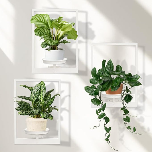 Hanging Planters for Indoor Plants White, Wall Plant Holder Stand to Hold Large Pots - Premium Metal Wall Planters for Indoor Outdoor Decor STORENIZATION