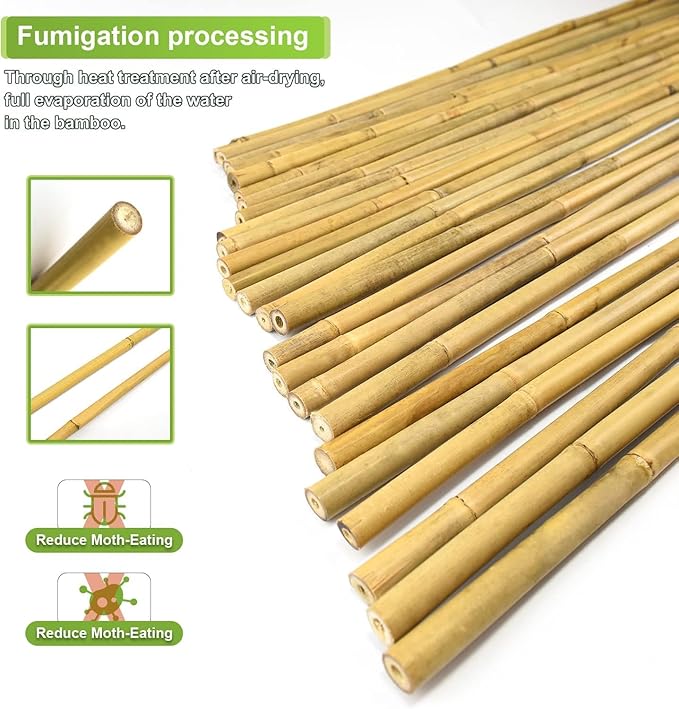 25pcs 1/2" D Thicker Heavy Duty Bamboo Stakes, 4.75FT Plant Stakes, Natural Garden Stakes for Tomato, Bean, Flowers,Trees Potted and Climbing Plant Support Jollybower