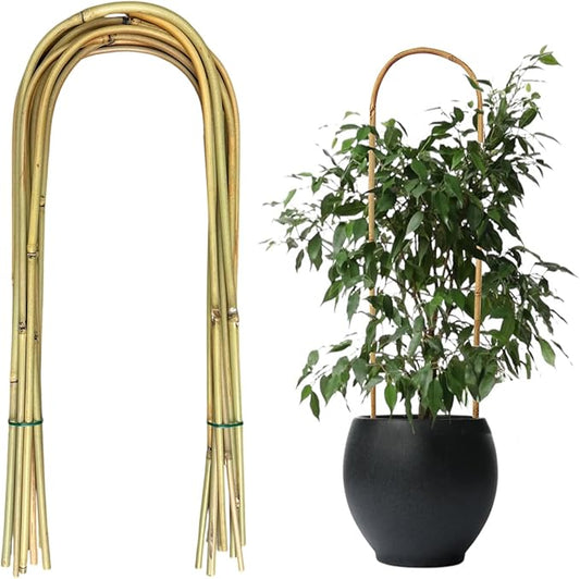 20 Pack Bamboo U Trellis for Potted Plants - 16 Inch U-Shaped Plant Support Hoop, Heavy-Duty Arch Stake for Climbing Vines Cucumbers, Indoor/Outdoor Rustic Garden Training Frame Rootora