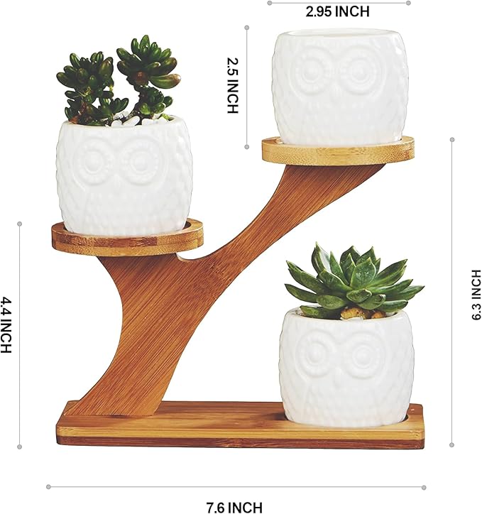 FLOWERPLUS Planter Pots Indoor, 3 Pack 3 Inch White Ceramic Decorative Small Owl Succulent Cactus Flower Plant Pot with Tree Tier Bamboo Stand for Garden Kitchen Home Office Desk Decorations Flowerplus