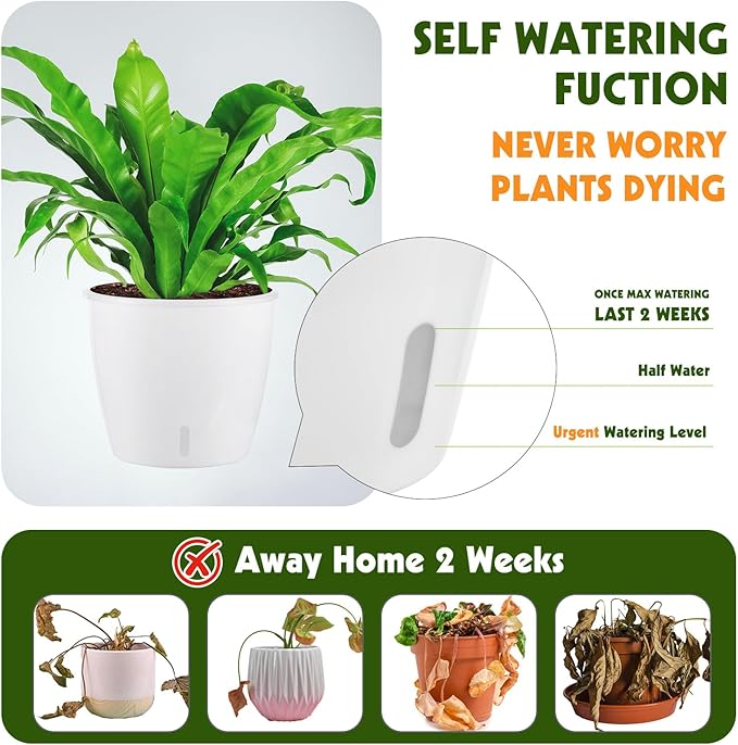 Self-Watering Pots for Indoor Plants, 8-Pack Self Watering Planter with Drainage Holes, Small African Violet Pots with Water Indicator, 5 Packs 5''/3 Pack 6.7'' Orchid Pot, White KvyusFlourish