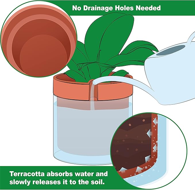 Phoenix Vine 10 Inch Self Watering Planter Pot, Terracotta Clay Pot with Glass Reservoir for Indoor Plants, Herbs, Flowers, Set of 1, 52-A-I-1 Phoenix+Vine