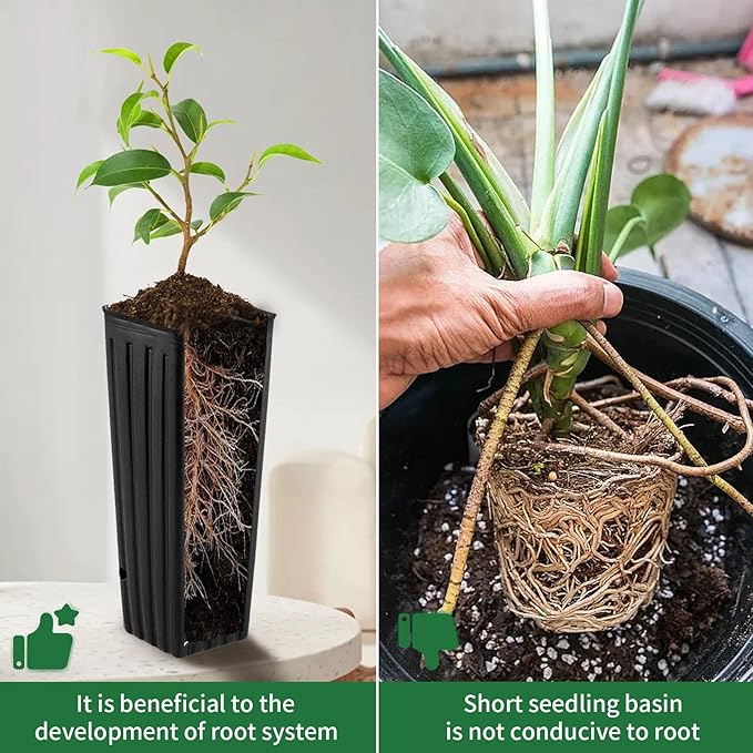 20 Pcs Plastic Deep Nursery Pots,9.8" Tall Tree Pots,Tall Nursery Tree Pots Plant Deep Seedling Pots, Flower Plant Container Pots with 3 Pcs Garden Tools for Indoor Outdoor Use Hzloyat