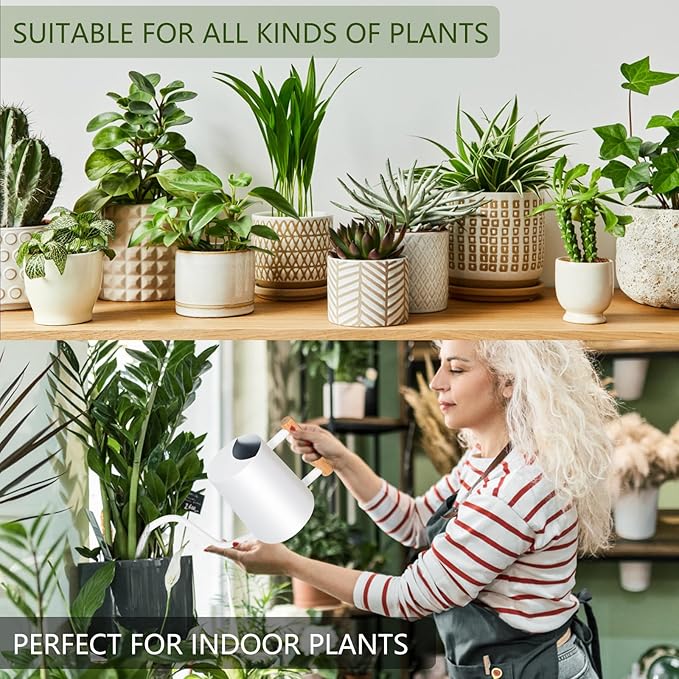 Watering Can Indoor Plants, 35oz Small Stainless Steel Metal Watering Can Modern Decorative Watering Pot with Long Spout for Indoor House Plant Bonsai Outdoor Garden Flowers -White GUKJOB