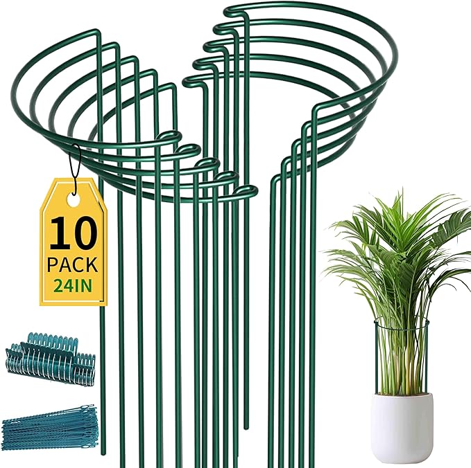 TCBWFY 10 Pack Plant Support Stakes for Peony,10"Widex24"High Heavy Duty 4.5mm Peony Cages and Support,Metal Peony Supports for Outdoor Indoor Plants,Plant Supports for Peony TCBWFY