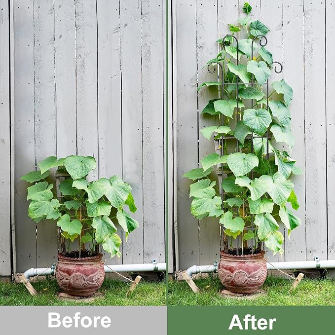 Coomin 32.6in Monstera Plant Support Stakes for Outdoor Plants, Garden Trellis for Climbing Plants, Metal Stakes for Potted Plants Pothos Plant Climber Support, 4P COOMIN