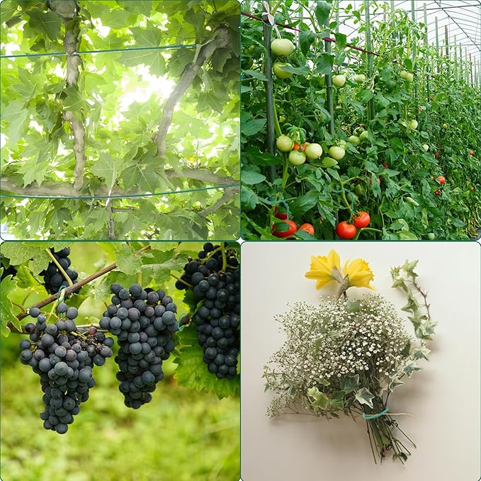 YDSL 100 Feet Soft Tie for Plants, 3 Pack Green Twist Garden Ties Gardening Supplies for Supporting Climbing Plants, Tomatoes, Vegetables, (Diameter - 2.5MM) YDSL