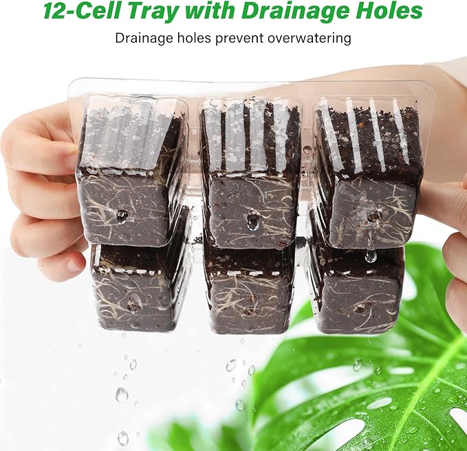 Bonviee 10 Packs Seed Starter Tray with Drainage Holes, Reusable & Durable, Clear for Root Monitoring, Easy to Repotted Without Root Damage, 6 Cells per Tray BonvieeDirect