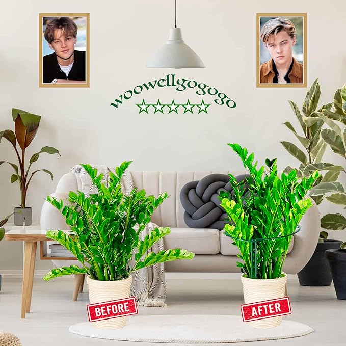 6-Pack Snake Plant Support Stakes, Half-Round Peony Cages and Supports, Green Plant Support Ring - Sturdy and Durable for Indoor and Outdoor Potted Plants, Such as Amaryllis, Peony, Hydrangea WooWellGoGoGoProducts