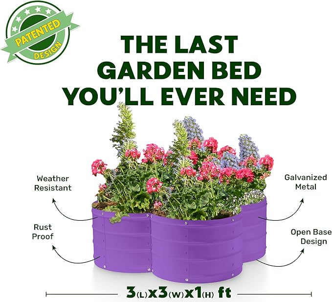 Plant & Plot Galvanized Raised Garden Beds Outdoor // 3×3×1 ft Planter Raised Beds for Gardening, Vegetables, Flowers // Large Metal Garden Box (Purple) // Patented Tool-Free Design PlantPlot