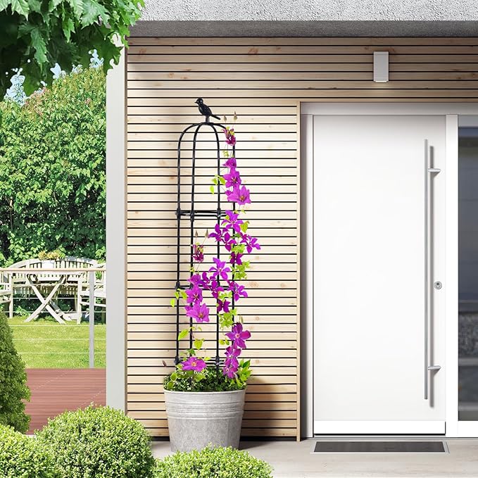 Lalahoni Garden Obelisk Trellis for Climbing Plants Outdoor, 6ft Round Rose Trellis for Pots, Metal Plant Support for Clematis, Jasmine, Ivy, Decorative Outdoor Trellis, Black, 1Pack Thereasonyoulovegardening