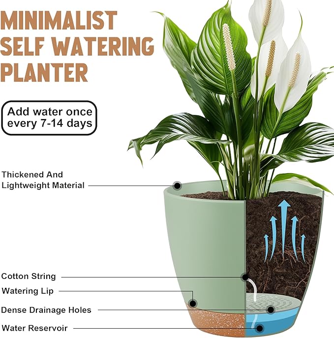 Plant Pots 8/7/6.5/6/5.5/5 Inch Self Watering Pots, Set of 6 Plastic Planters with Drainage Holes and Saucers,Plastic Flower Pots,Nursery Planting Pot for Indoor Out Door Plants（Green） QRRICA