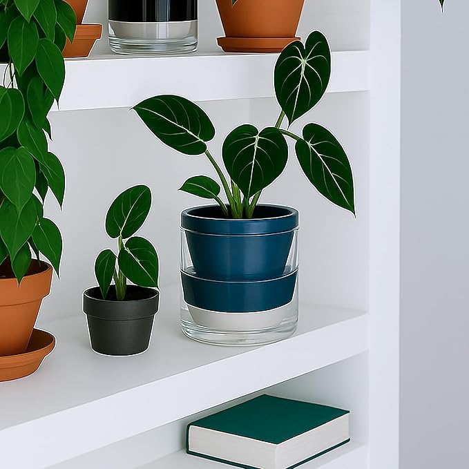D'vine Dev 6 Inch Design Self Watering Planter for Indoor Plants, Blue Terracotta Pot with Cylinder Glass Cup, 37-X-B-4 DvineDevPlanterPotsandStand