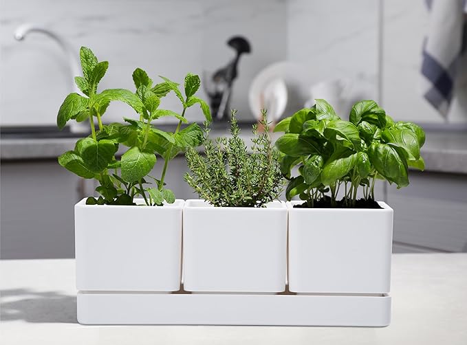 D'vine Dev Herb Garden Planter Set, Plastic Plant Pots with Drainage and Saucer, Indoor Succulent Cactus Vegetable Pot for Windowsill, Garden Balcony, White, Set of 2, 76-V-A-2 DvineDevPlanterPotsandStand