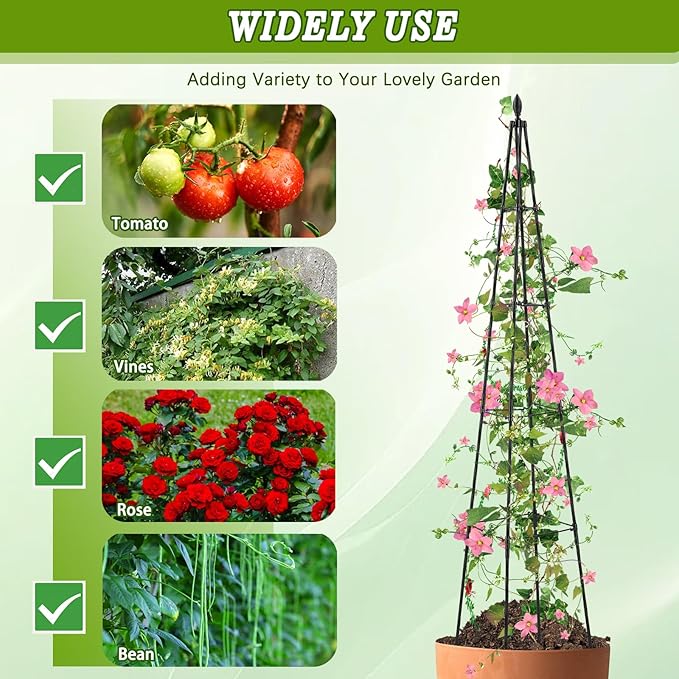 2 Pack Garden Trellis for Climbing Plants Outdoor,63inch Tall Rustproof Metal Obelisk Trellis Support for Potted Vines Vegetable Plants Indoor Outdoor, Lightweight AlisisFores