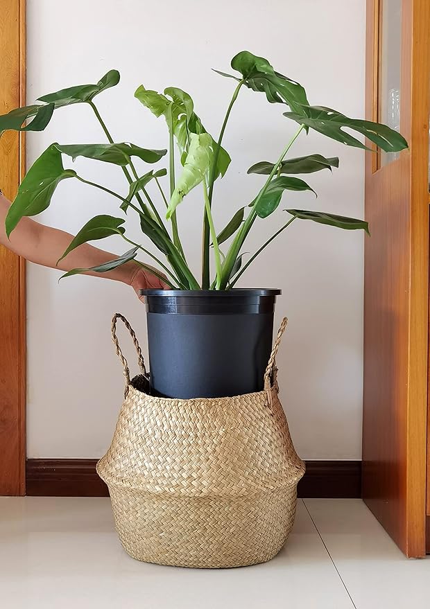 5 Gallon 6-Pack Large Plant Pots Nursery Tree Pot Plastic Planters for Outdoor Indoor Plants Gardening Flower Pots with Drainage Holes CottaPlanters