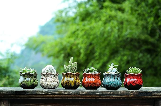 Cute Ceramic Succulent Planters, Garden Pots with Drainage and Attached Saucer, Set of 6 - Plants Not Included Fulloog