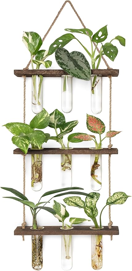 Mkono Plant Propagation Tubes, 3 Tiered Wall Hanging Terrarium with Wooden Stand Flower Vase Test Tube Glass Planter Stations for Hydroponic Cutting Home Garden Office Decor (Brown, Small) Mkono