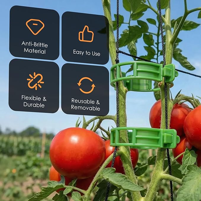 100pcs Tomato Clips for Climbing plants, Plastic Trellis Plant Support Clips for Garden, Reusable Clips for Supporting Grape Tomato Vine and Vegetables Plants to Grow Upright Makes Plants Healthier LOOHOI