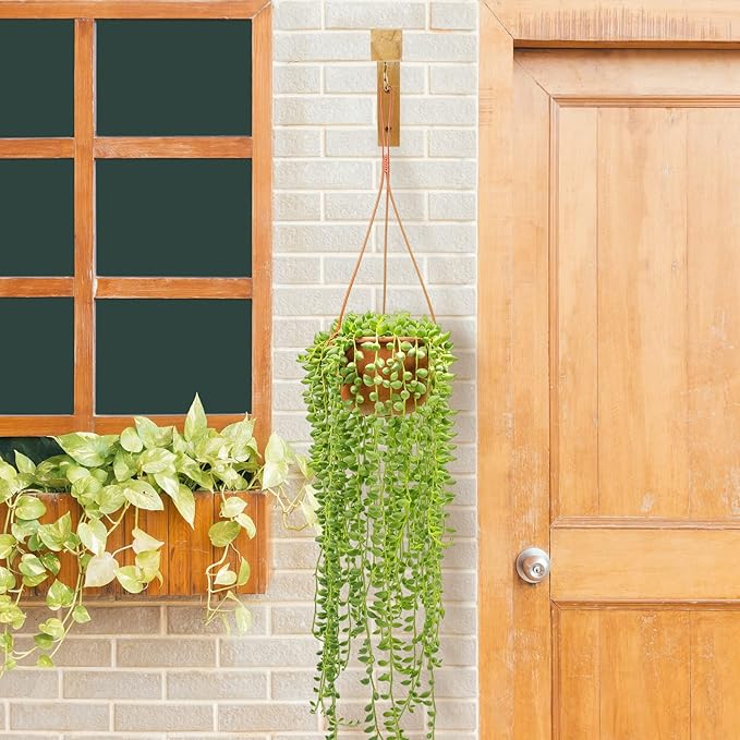 Macrame Plant Hanger, Hanging Wall Planters for Indoor Plants, Wooden Hanging Basket Hooks for Outdoor Pots Wind Chime Flower Bracket Lanterns Patio Garden Decoration (2-Pack,5-Inch) DSJIFGEW