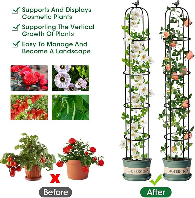 6.2ft Garden Obelisk Trellis for Climbing Plants Rustproof Metal Pipe with Heavy Duty Plastic Coated Garden Outdoor Indoor Potted Plant Support for Clematis Vine Jasmine Support MYMULIKEHOME