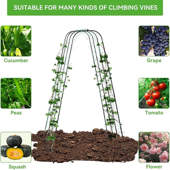 Lalahoni Cucumber Trellis, 65" X 65" Metal Garden Arch Trellis Climbing Plant Outdoor Support for Vine Fruits Flowers Vegetables Peas Beans Squash Cucumber Tomato Raised Bed, with Netting, Lightweight Thereasonyoulovegardening
