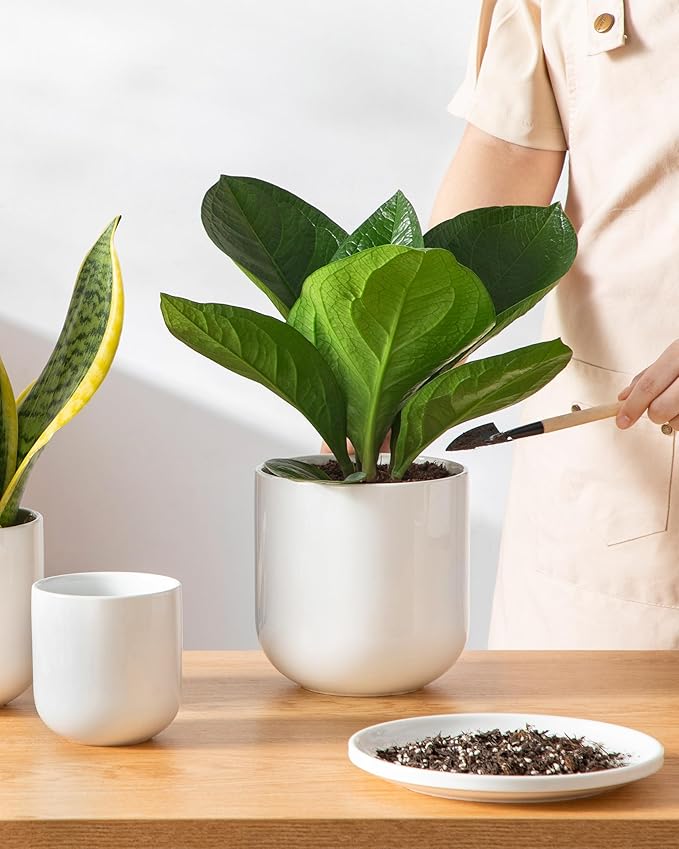 vancasso Ceramic Plant Pots, 4+5+6 inches, Set of 3, Planters with Drainage Hole, Flower Pots Planters Pots for Indoor Plants, Modern Indoor Decorative Garden Pot, Home Decor, White vancasso