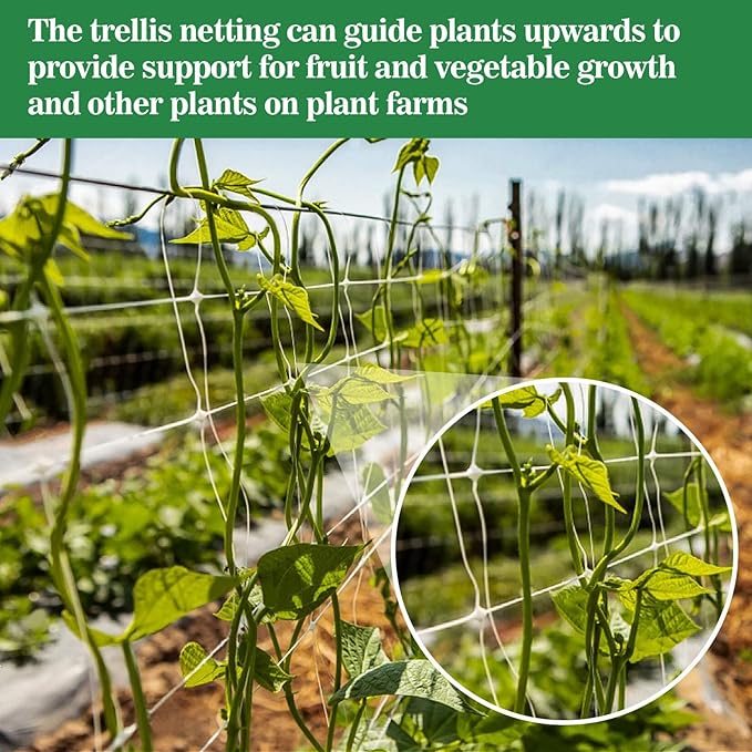 Sukh Garden Plant Trellis Netting - 3 PcsTrellis Net Polyester Trellis Netting Garden Square Mesh for Climbing Plants Fruits Vegetables VinesGrow Tents Sukh