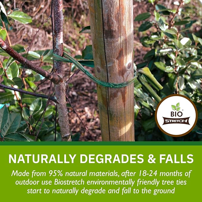 Extra Wide Soft Tree Ties - Strong & Stretchy Support for Large Plants & Young Trees - Cut-to-Length Green Garden Tape for Home & Professional Gardening (52 ft / 16M) Biostretch
