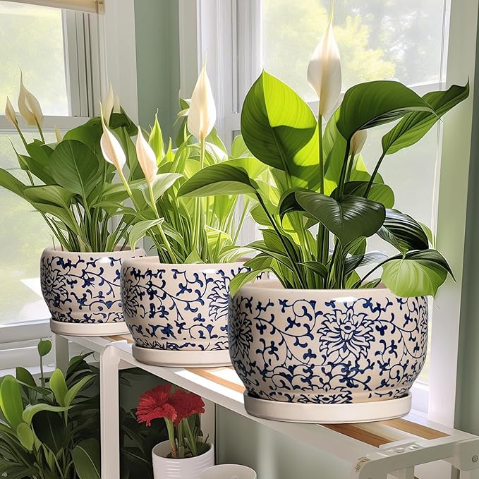SQOWL Ceramic Flower Pots - 6 Inch Plant Pot Indoor with Drainage Hole and Saucer, Porcelain Ceramic Planter Outdoor, Decorative Round Small Planter, House Decor, Plant Lover Gifts, Blue and Beige SQOWL
