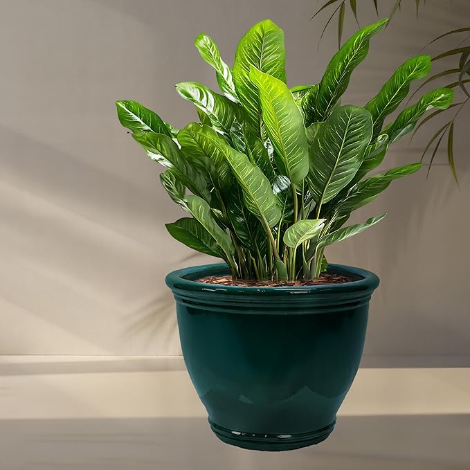 Sunnydaze Large Ceramic Plant Pot - Round Outdoor Glazed Ceramic Planter Pot with Drainage - Studio - Dark Green - 18.5" SunnydazeDecor
