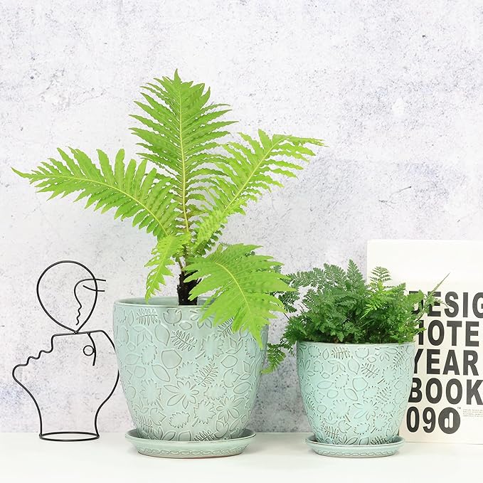 8 Inch + 6 Inch Plant Pots for Indoor Plants, Ceramic Planter with Drainage Hole and Saucers, Garden Pots for Succulent, Orchid, and Flower, Set of 2 Bestseler