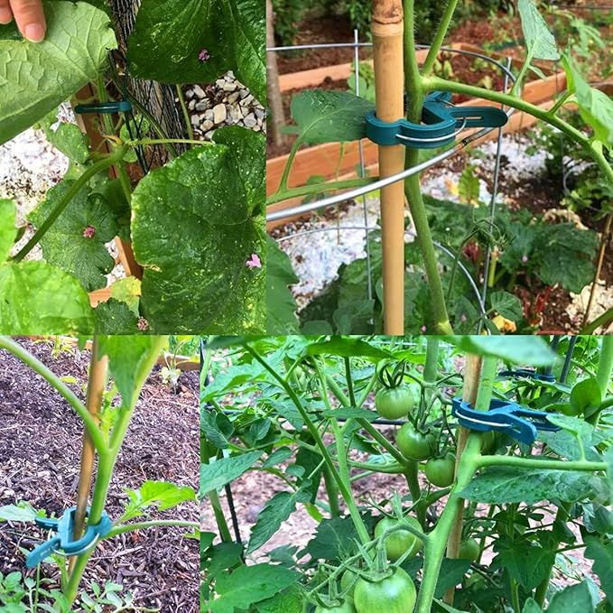40 Pcs Plant Support Clips,Flower and Vine,Garden Tomato Plant Support Clips for Supporting Stems,Vines Grow Upright Climbing,Tool for Straightening,Tomato Cage,Trellis. 2 Sizes in one Pack Yinghezu