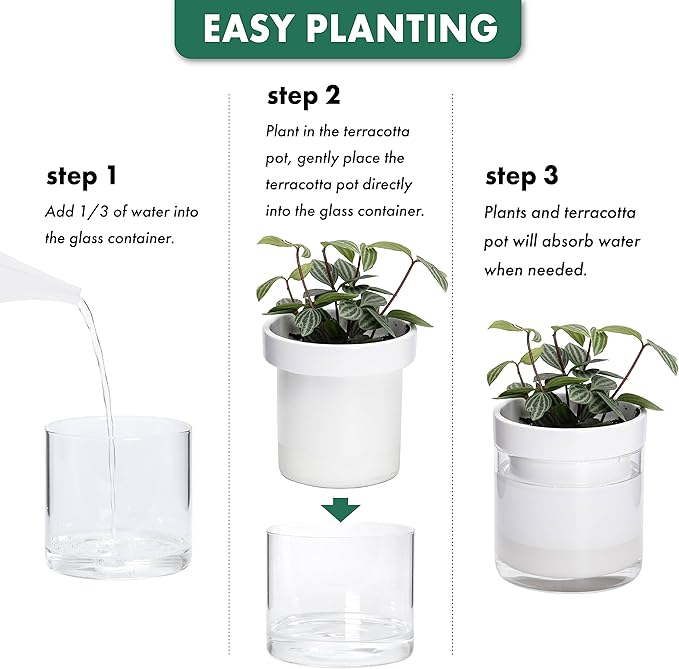 Phoenix Vine 4 Inch Self Watering Planter, White Terracotta Clay Pot with Glass Reservoir for Indoor Plants, Herbs, Flowers, Set of 1, 52-B-E-1 Phoenix+Vine