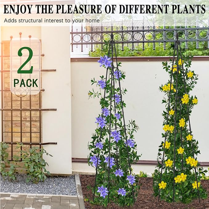 2 Pack Garden Trellis for Climbing Plants Outdoor,63inch Tall Rustproof Metal Obelisk Trellis Support for Potted Vines Vegetable Plants Indoor Outdoor, Lightweight AlisisFores