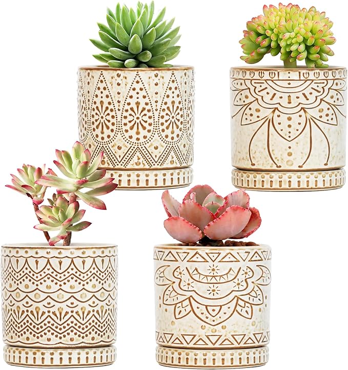 Gepege 4 Inch Small Indoor Succulent Ceramic Planter Pot with Drainage Holes and Saucers for Plants, Birthday for Women Mom Gepege