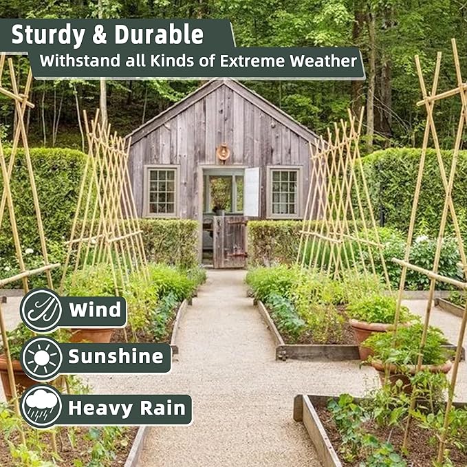 50Pcs / 2ft Bamboo Plant Stakes for Indoor Outdoor Plants, Garden Plant Support Sticks, Poles for Tomato Vegetables Beans Trees Potted Climbing Plants(0.32'') Avalution